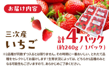 小さなくだもの畑のいちご[APAQ002] いちご