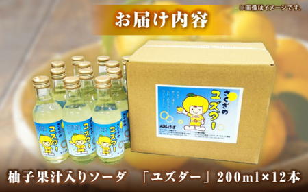 炭酸ジュース柚子サイダー「ユズダー」12本[APAY001] 炭酸 ジュース サイダー