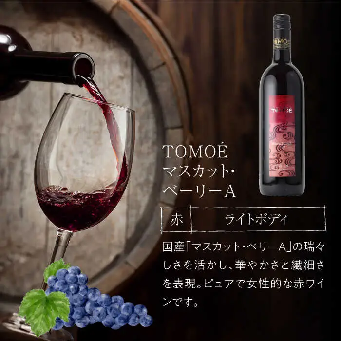  TOMOE 赤・白ワイン 3種セット[APAZ027]ワイン