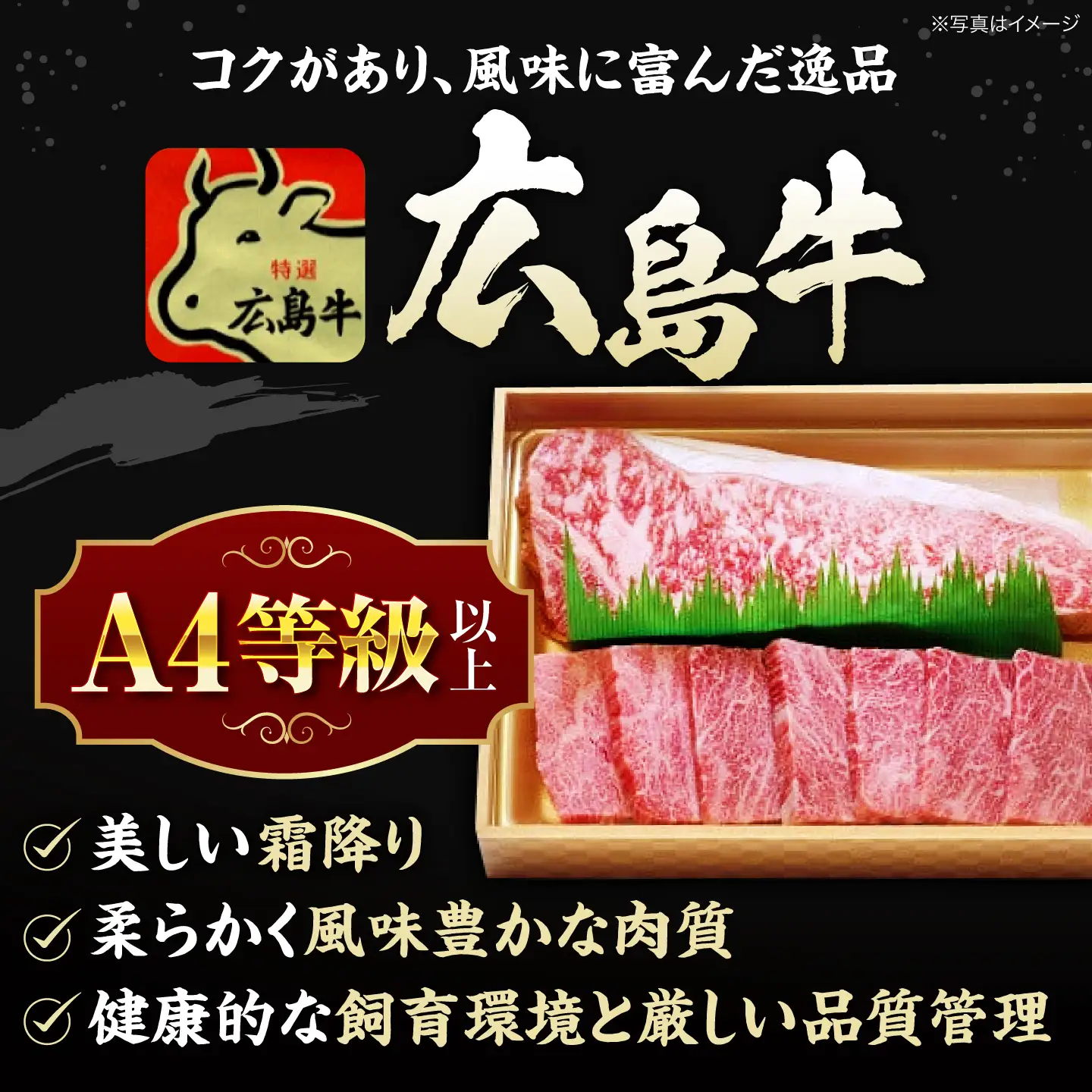 【全6回定期便】牛肉 肩ロース・サーロインセット [APAZ075] 牛肉