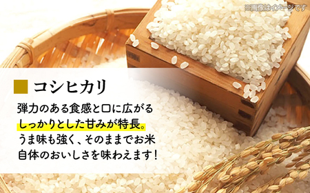 布野町産コシヒカリとお餅セット[APBA002] 米 餅