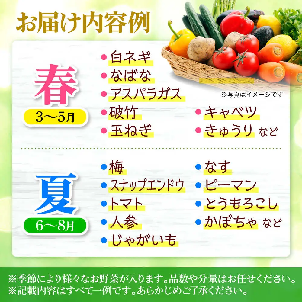 【2回定期便】野菜セット[APBA014] 野菜 詰め合わせ