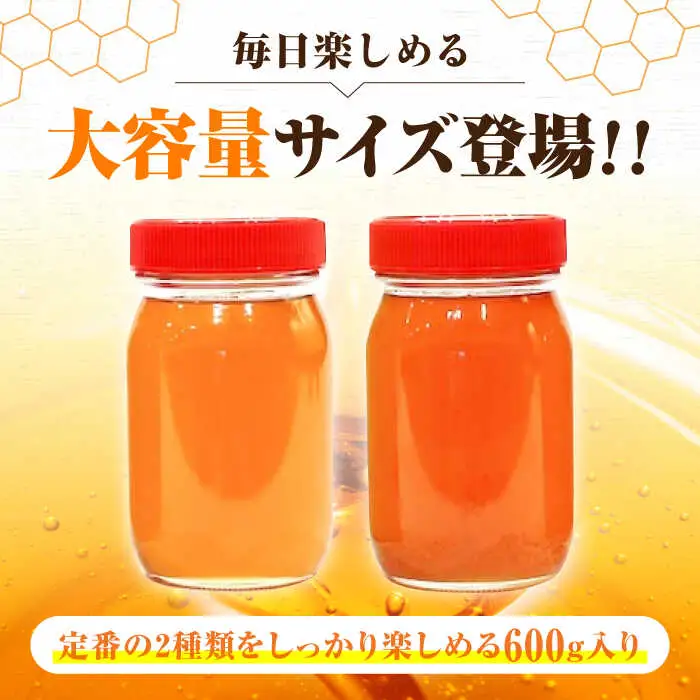 はちみつ 2種食べ比べセット 大容量 [APBO002] はちみつ