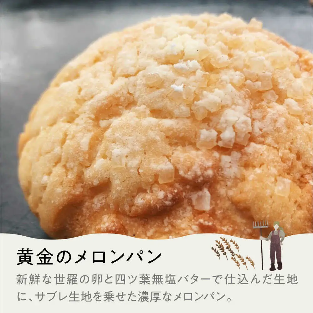 豊かな風味パンセレクション8個セット[APCI003] パン 詰め合わせ
