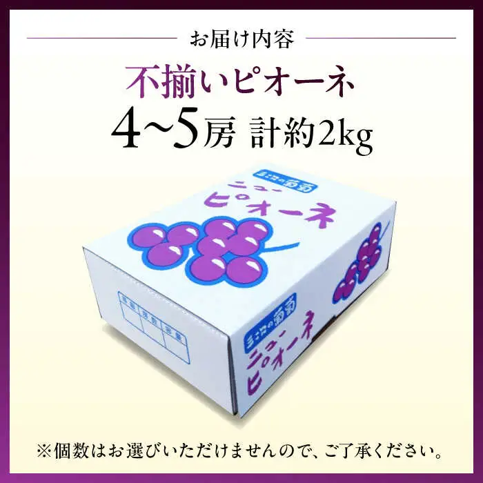 ピオーネ 2kg 【訳あり】ぶどう [APCK002] ピオーネ