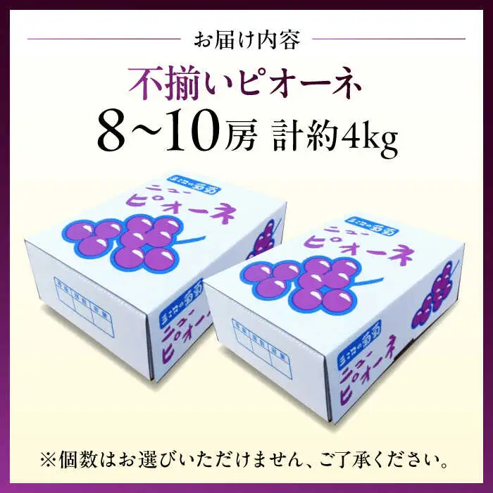 ピオーネ 4kg 【訳あり】ぶどう [APCK003] ピオーネ