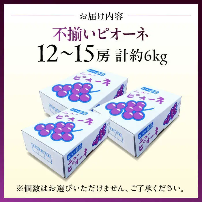 ピオーネ 6kg 【訳あり】ぶどう [APCK004] ピオーネ