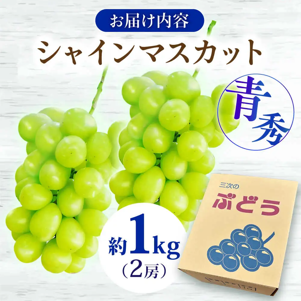 シャインマスカット 1kg [APCM002] シャインマスカット