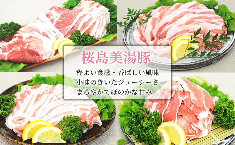 C3-0407／鹿児島県産 桜島美湯豚 4種セット 計4.2kg