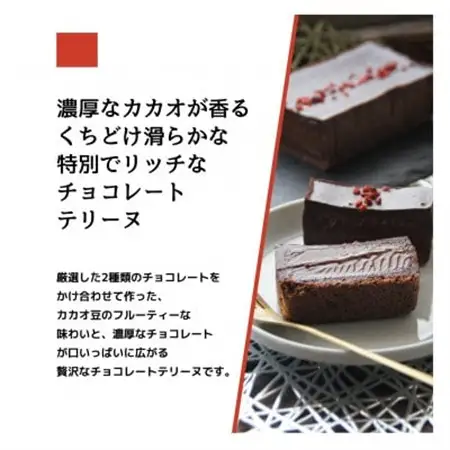 とろける生チョコテリーヌ　380g/1本(福岡県水巻町)【配送不可地域：離島】【1381670】