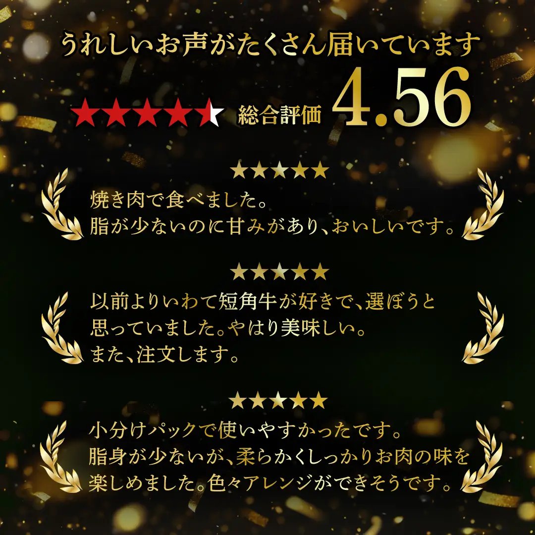 いわて短角和牛 牛肉切り落とし 250g / 牛肉切り落とし (AB109)