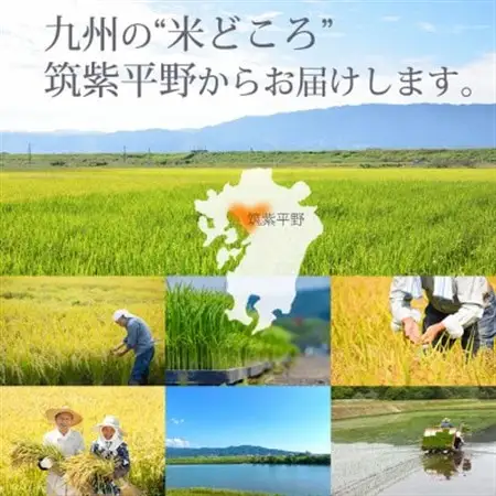 令和7年産 福岡県産「元気つくし」5kg×2袋 [10kg] [玄米](水巻町)【1445326】