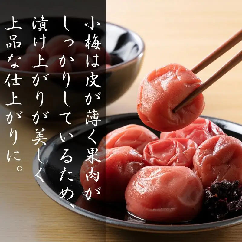 【先行予約】 青梅【小梅】 3kg（2027年5月頃から順次発送予定） / 生梅 梅干し 小粒 梅酒 梅ジャム 梅シロップ 産地直送 国産 和歌山 【tcs019】