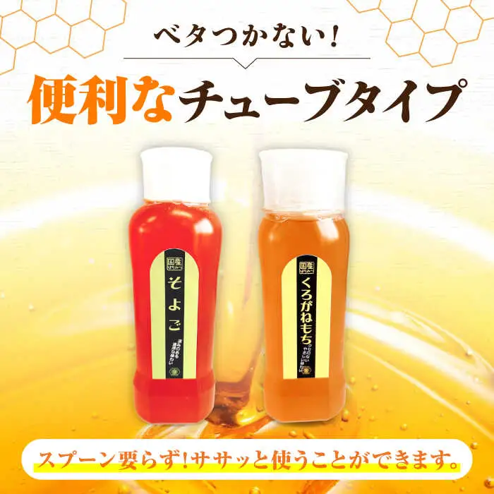 はちみつ チューブ2本セット（そよご・くろがねもち）各250g [APBO014] はちみつ