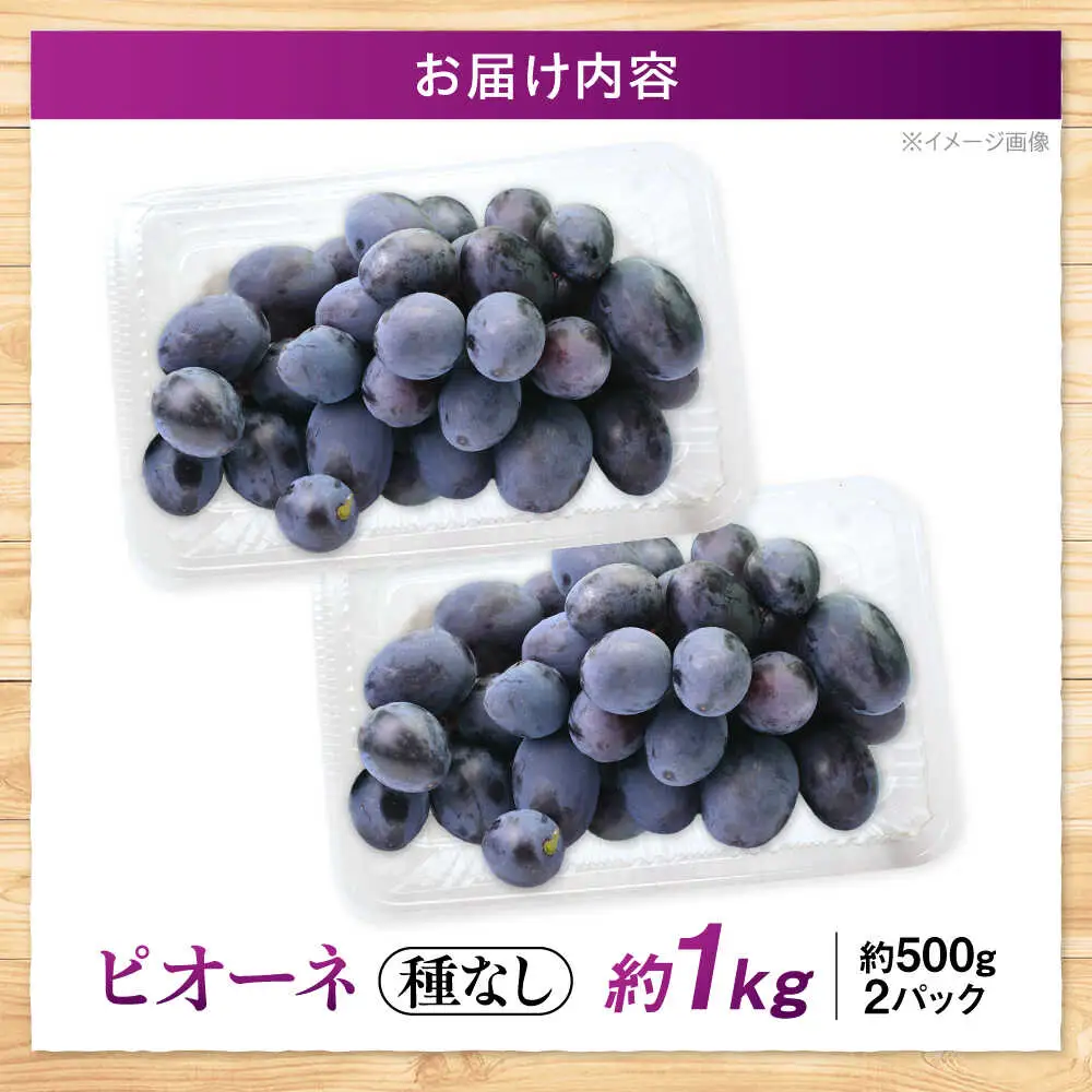 ぶどう ピオーネ 約1kg 訳あり [APCM006] 葡萄 ブドウ フルーツ