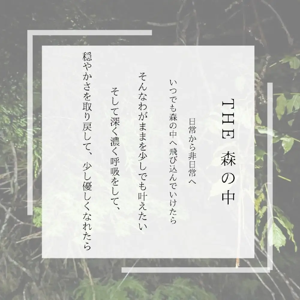 湯布院　ＭＩＫＡＴＡ　オリジナルブレンドエッセンシャルオイル　THE森の中-MORI no NAKA-