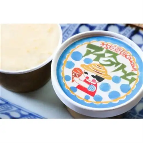 オリジナルアイスクリーム【3種 】6個詰め合わせセット_菓子・スイーツ アイス・ジェラート  _【配送不可地域：離島】【1569361】