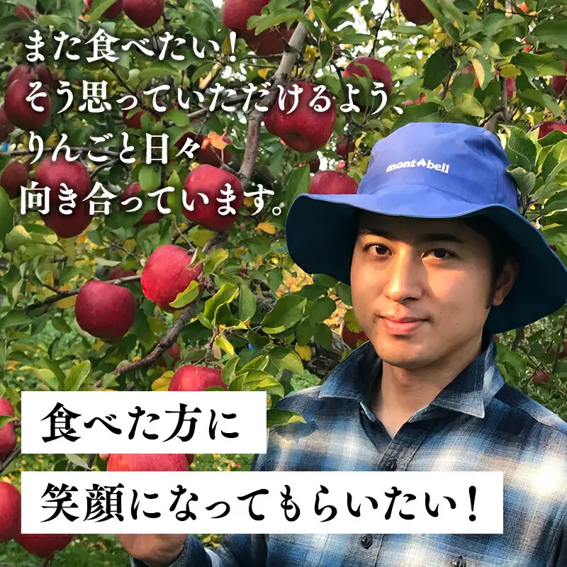 りんご 家庭用 葉とらずサンふじ・シナノゴールド 詰め合わせセット 約3kg 青森県平川市産　[hi-0036-008]