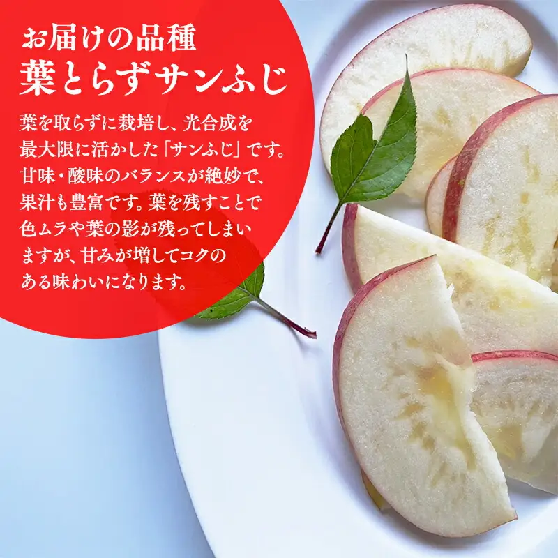 りんご 家庭用 葉取らずサンふじ 約3kg 青森県平川市産　[hi-0036-009]
