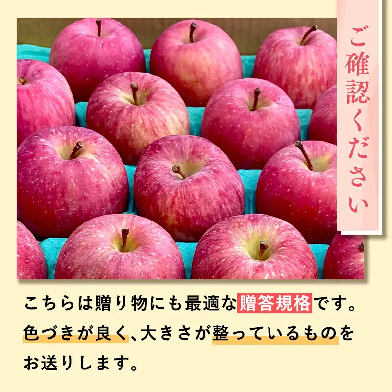 りんご 贈答用 樹上完熟ぐんま名月約5㎏ 【hi-0038-023】
