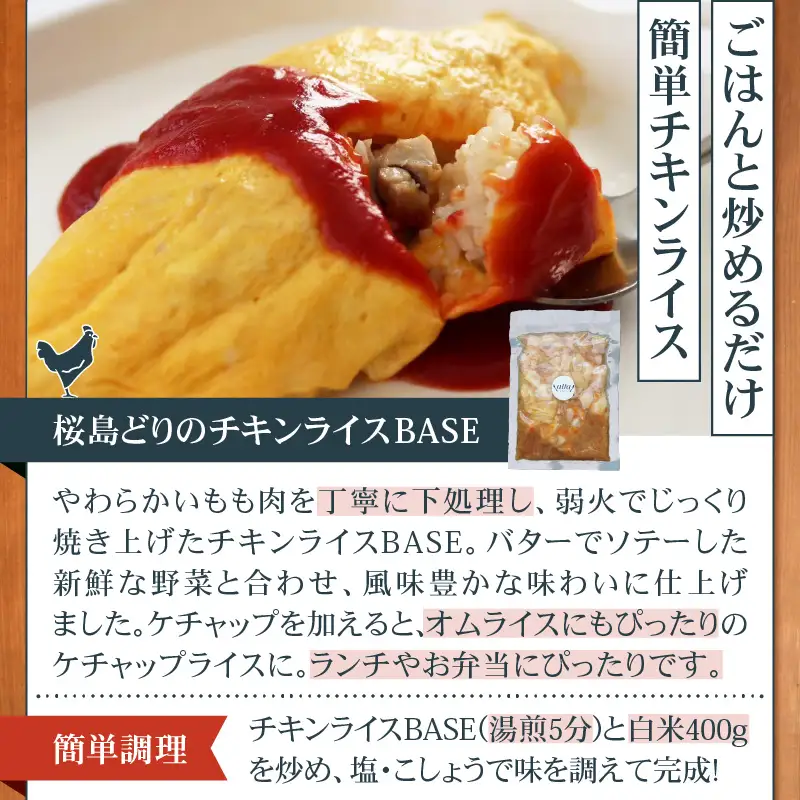 鹿児島 の 思い出の味 直行便 K342-001 肉 豚肉 牛肉 惣菜 総菜 冷凍 ハンバーグ カレー