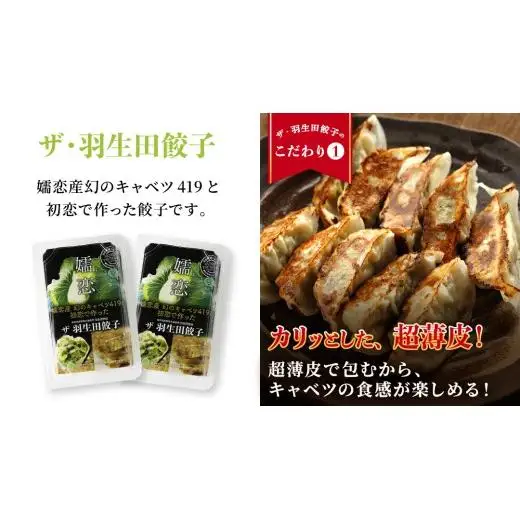 【 定期便 隔月2回 】 まぼろしのキャベツ419使用 ザ・羽生田餃子 15個 × 2パック 計30個 × 2回 ( 合計 60個 ) [AL017tu]