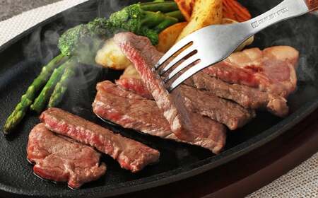阿蘇あか牛 サーロイン 約500g（約100g×5袋） あか牛 お肉 肉 牛肉 小分け 冷凍