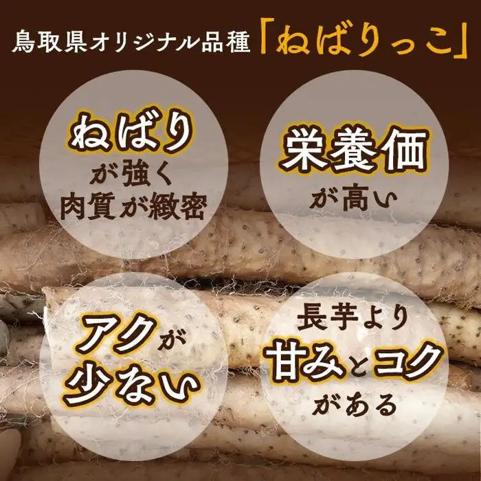 321.≪先行受注≫ ねばりっこ　3～4本 ｜ 新芋 ながいも 長芋 鳥取県産 鳥取県オリジナル品種 山芋　※2026年11月上旬～2026年4月中旬頃に順次発送予定