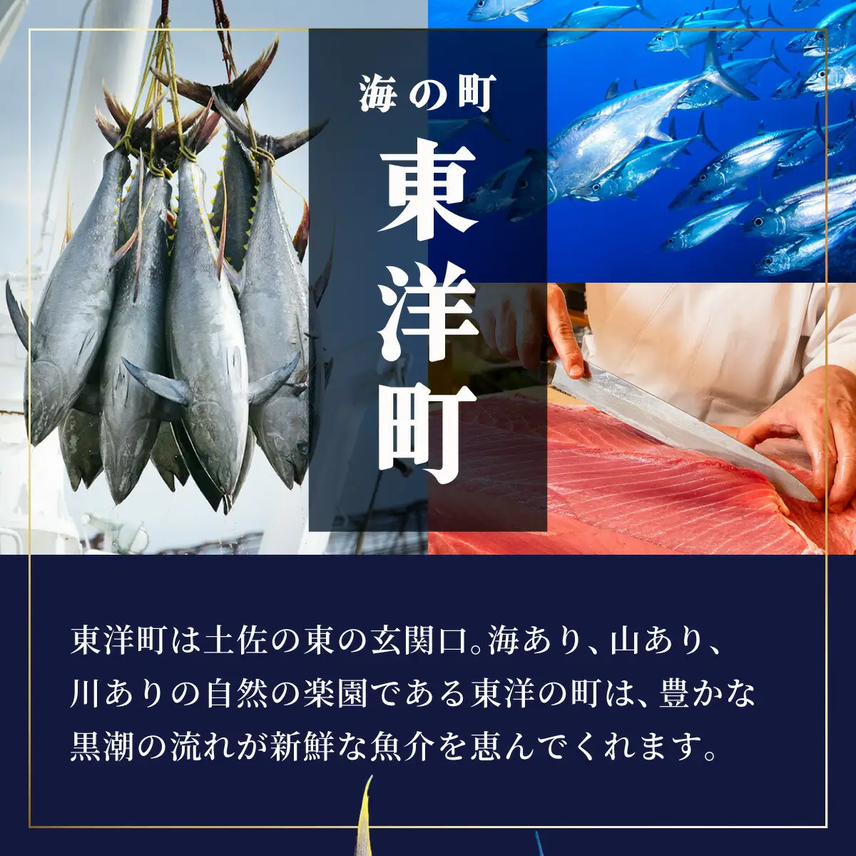 OK001-1 キハダマグロ1kg 岡水産