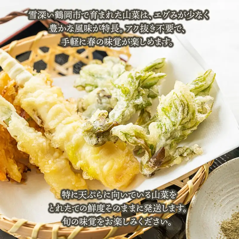 【令和9年発送】山菜セット天ぷら用 （3種以上） 計300g以上 山形県鶴岡産 グレイスファーム
