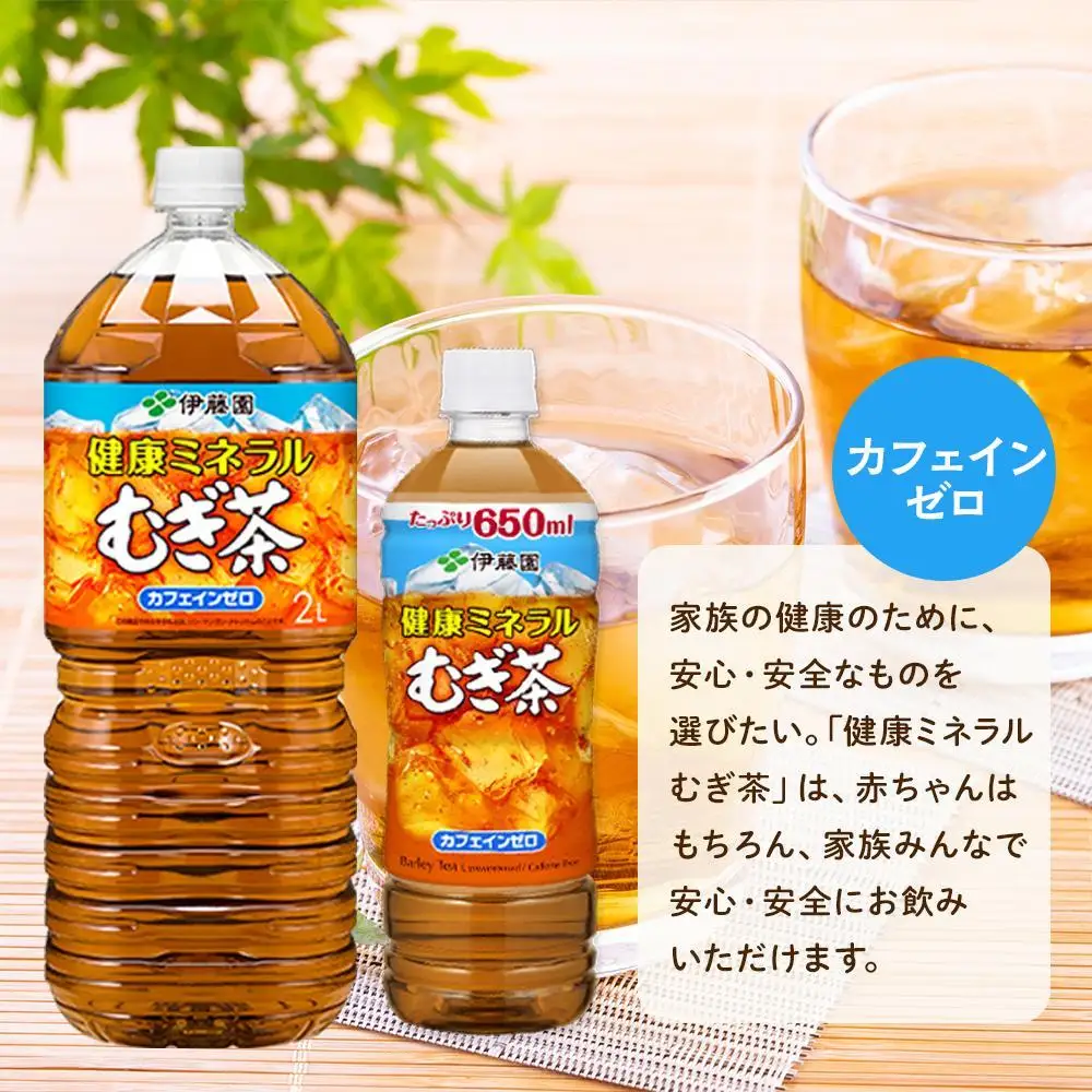 定期便 毎月 全12回 健康ミネラル麦茶 650ml×24本 １ケース 12ヶ月定期便