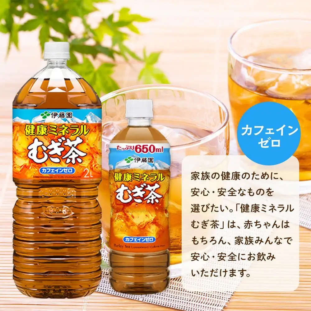 定期便 毎月 全3回 健康ミネラル麦茶 2L×6本 １ケース 3ヶ月定期便