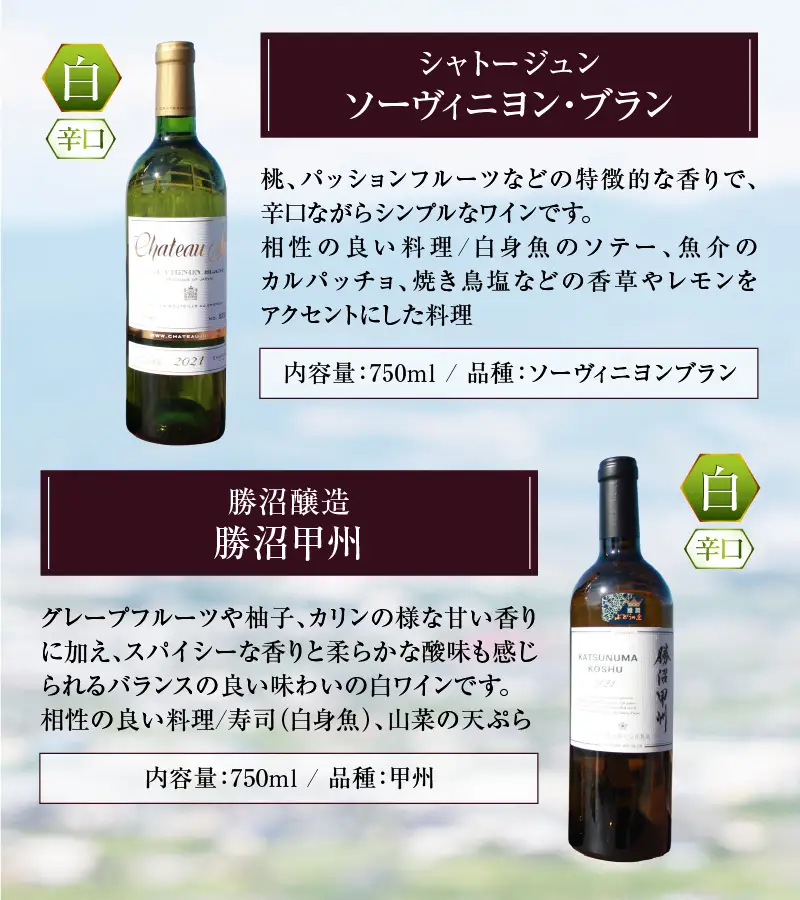 ワイン 白ワイン4品種飲み比べセット（KBO）E7-601