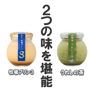CK016_牧場プリン3　うれしの茶プリン詰め合わせ