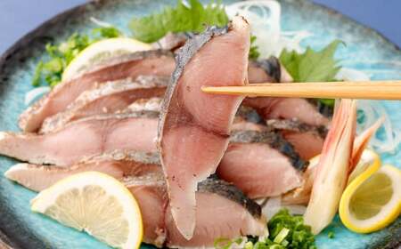 冷凍ハガツオのたたき 半身1枚×2パック 無添加 冷凍 ハガツオ 魚 お魚 魚介 熊本 炙り 生食用 流水解凍 熊本産 特殊冷凍