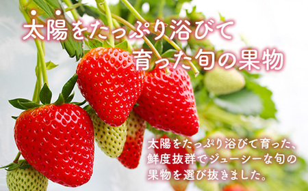 旬の果物3か月定期便　2026年1月から順次発送