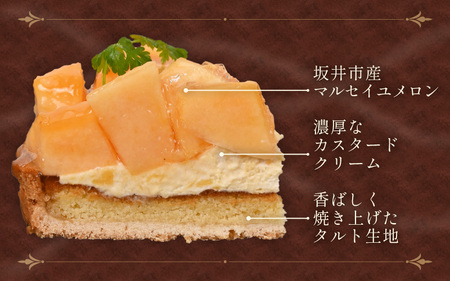 マルセイユメロンのフレッシュタルトケーキ 5号：直径15cm 850g 2027年6月中発送 スイーツ ケーキ お菓子 [A-5218]