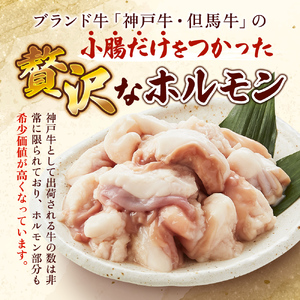 牛ホルモン 神戸牛 但馬牛 小腸 200g 牛ホルモン