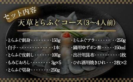【白子付】【大皿】 国産 最高級!! 天草とらふぐ コース 【2026年12月下旬発送開始】 6種 セット 河豚 フグ ふぐ 刺し身 刺身 さしみ 白子 お魚 魚 さかな 魚介 魚介類