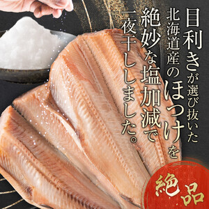 絶品脂ののった 北海道産 開きほっけ 約1.2kg (約600g×2尾セット) | ほっけ_03898