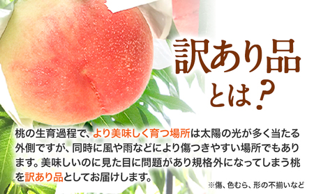 【訳あり】 ご家庭用 和歌山の桃 約2kg (6玉-8玉) m＆n果実園 【配送不可地域あり】《2027年6月中旬-7月下旬頃出荷》和歌山県 紀の川市 モモ 桃 もも 旬 白鳳 日川白鳳 なつっこ 果物 フルーツ