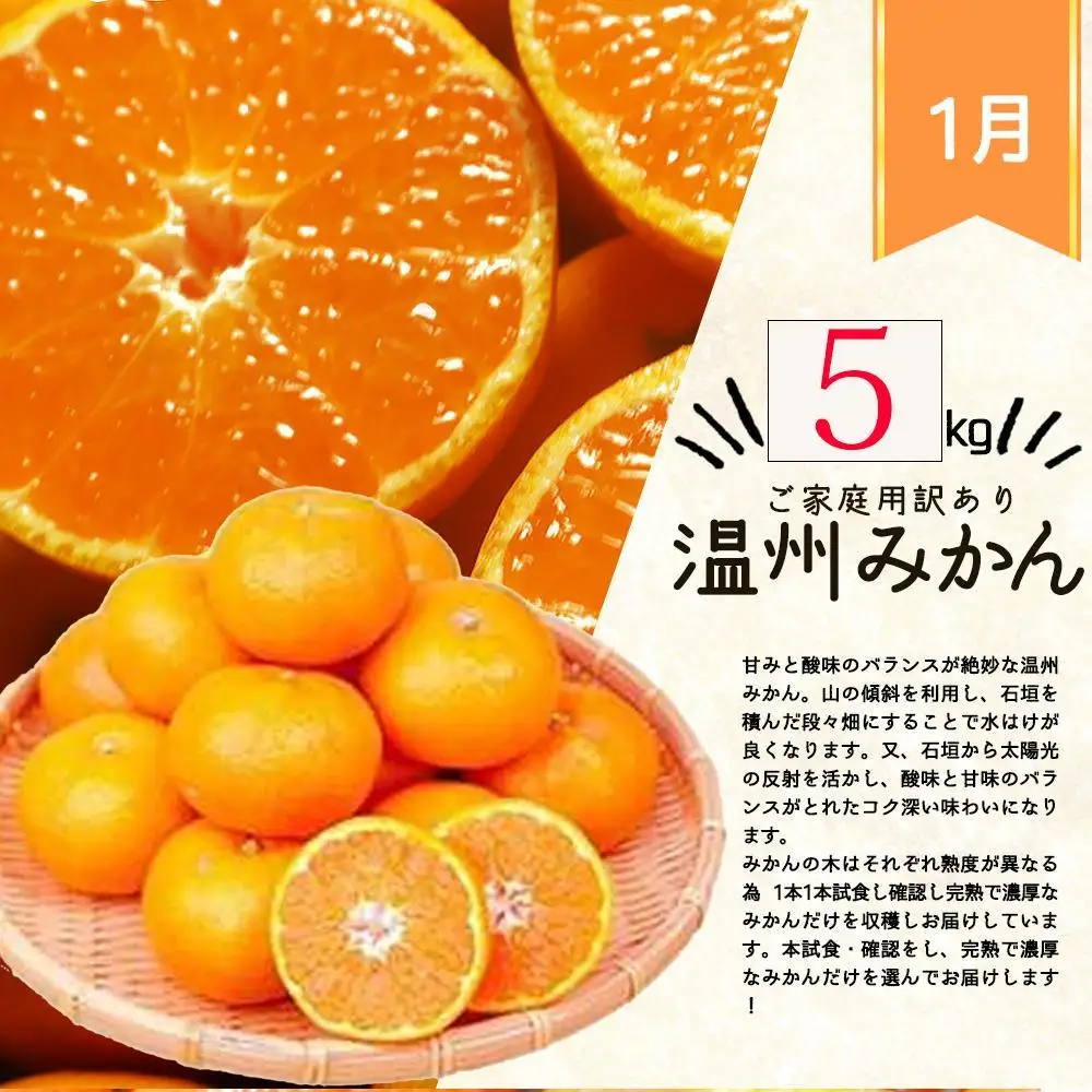【1・2・3月 全3回 定期便】紀州和歌山産旬のご家庭用柑橘セット(みかん・不知火・清見)【UT129】