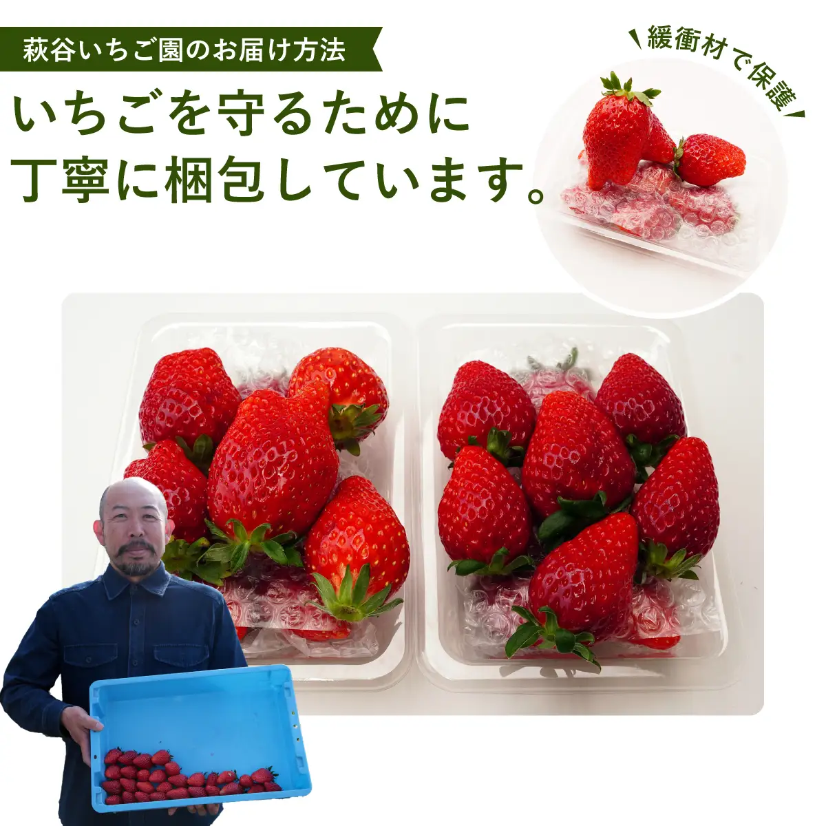 いちご いちごグランプリ大賞受賞 完熟いちご2パック