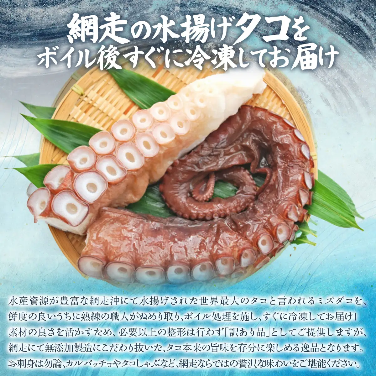 【無添加・訳あり】活締め網走産冷凍ボイルタコ脚（ミズダコ）1～1.2kg ABAE015