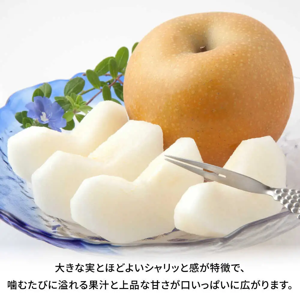 【先行予約】秋月梨　約5kg  梨 ナシ フルーツ 果物 【日本フルーツ株式会社】 [ZFJ015]