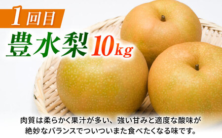 【先行予約】【3回定期便】 梨 約10kg 計約30kg（豊水・秋月・新高）  梨 ナシ フルーツ 果物 【日本フルーツ株式会社】 [ZFJ025]