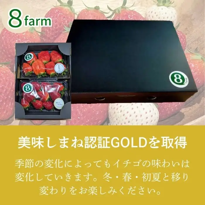 【先行予約】イチゴ2品種セット【食べ比べ いちご 約290g×2パック 苺 冷蔵 安来】【価格変更】【09-FA-02】