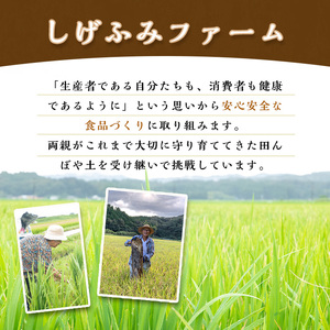 isa665 《毎月数量限定》あんしん米粉(約500g×4袋・計約2kg） 鹿児島県 伊佐市 米粉 米 コメ お菓子作り ヘルシー グルテンフリー 小麦粉代用 料理 有機肥料 EM農法 【しげふみファーム】