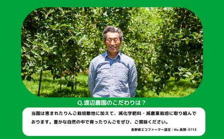 旬のりんご 【 定期便 】 秀 ～ 特秀 5kg × 2回 渡辺農園 秋映 サンふじ 沖縄県への配送不可 2026年10月中旬頃から2026年12月中旬頃まで順次発送予定 令和8年度収穫分 秋映 サンふじ エコファーマー認定 減農薬栽培 長野県 飯綱町 [1936]