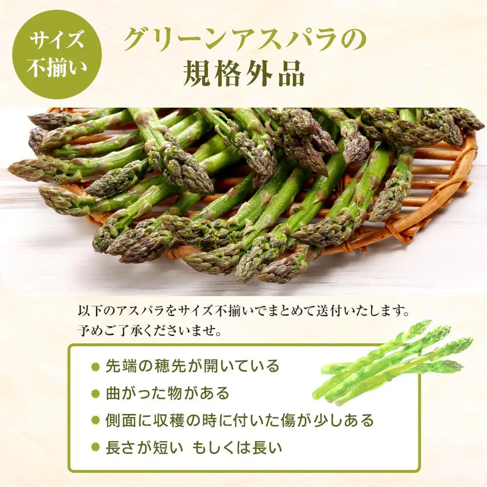 【2027年先行予約】訳ありグリーンアスパラサイズ不揃い1kg（500g×2袋）5月下旬から発送開始予定 | アスパラ _04841